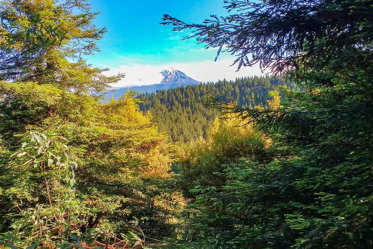 Photo of property in 325 Kaipi Road, Hillsborough, New Plymouth, 4372