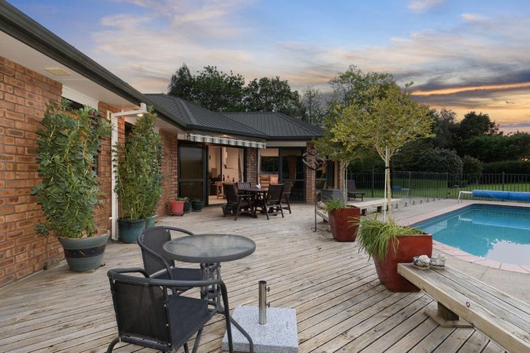 Photo of property in 928 Omanawa Road, Omanawa, Tauranga, 3171