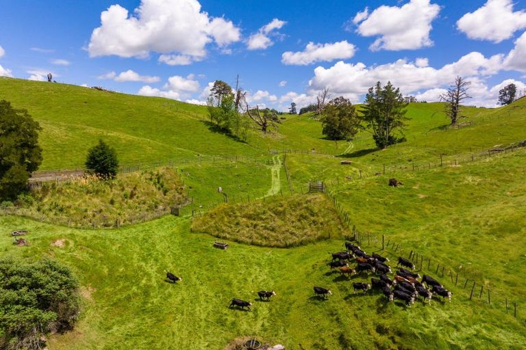 Photo of property in 319 State Highway 2, Mangateretere, Hastings, 4180