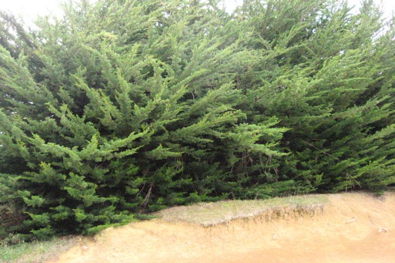 Photo of property in 57 Grimness Street, Karitane, Waikouaiti, 9471