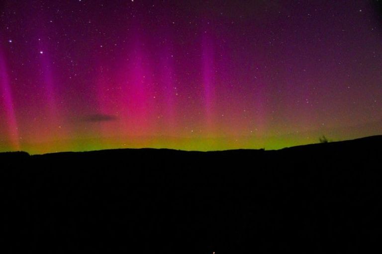 Photo of property in 11 Morepork Lane, Waipori Falls, Outram, 9073