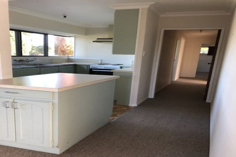 Photo of property in 111 Kings Avenue, Matua, Tauranga, 3110