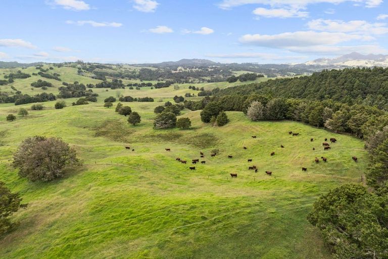 Photo of property in 53 Nursery Lane, Papamoa, 3118