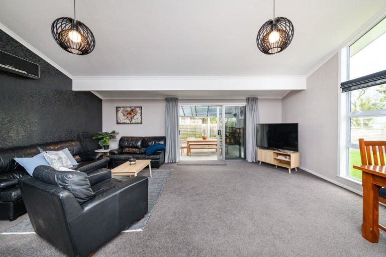 Photo of property in 17 Patea Place, Terrace End, Palmerston North, 4410