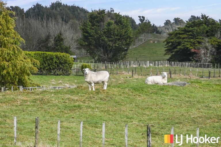 Photo of property in 18 Old State Mill Road, Mamaku, 3020