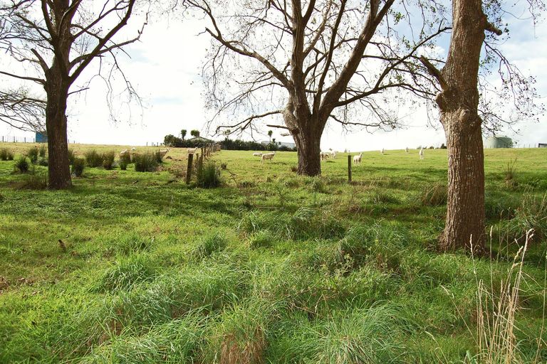 Photo of property in 210g Pukenui Road, Kaiwaka, 0573