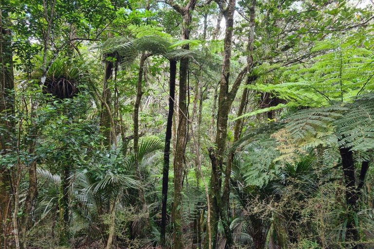 Photo of property in 338a Wairere Road, Paparoa, 0571