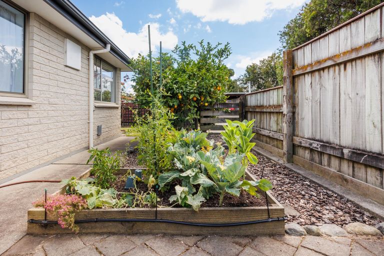 Photo of property in 73a Langley Avenue, Milson, Palmerston North, 4414