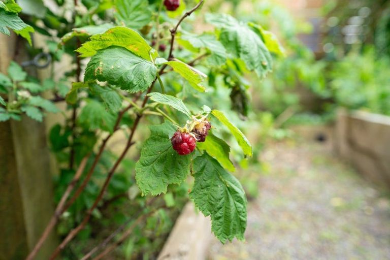 Photo of property in 24 Charlotte Avenue, Brooklyn, Wellington, 6021