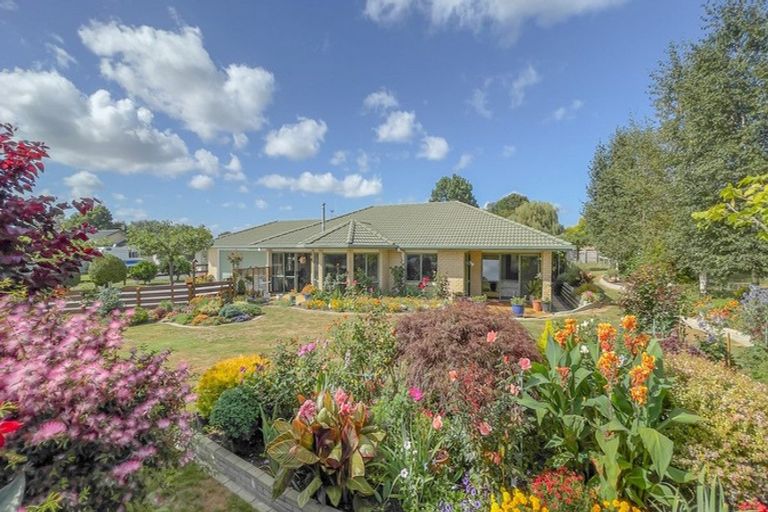 Photo of property in 24 Banks Road, Matamata, 3473