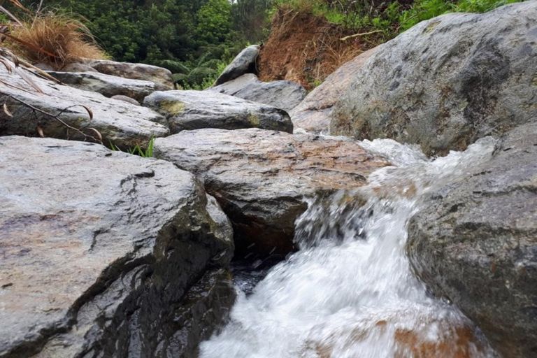 Photo of property in 166c Heard Road, Waihi, 3681