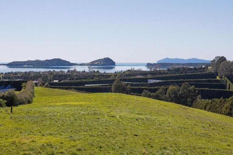 Photo of property in 94a Martray Road, Tahawai, Katikati, 3170