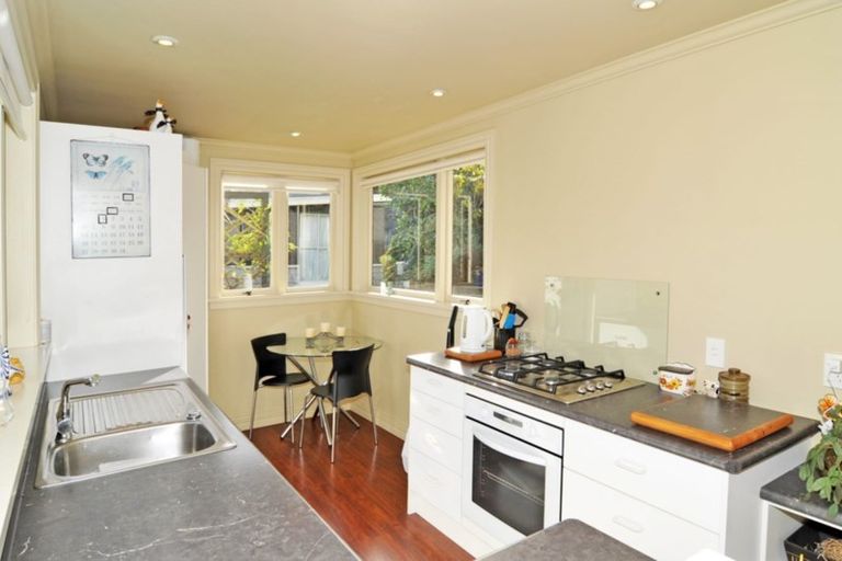 Photo of property in 9 Balmoral Street, Opoho, Dunedin, 9010