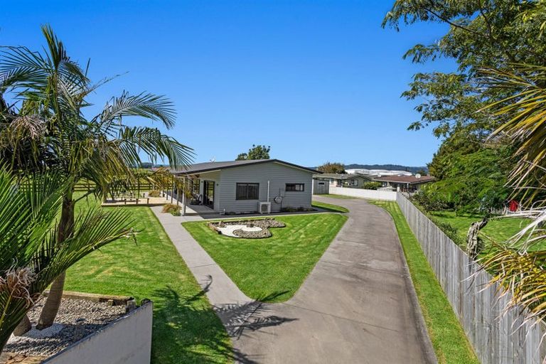 Photo of property in 6 Olive Grove, Edgecumbe, 3120