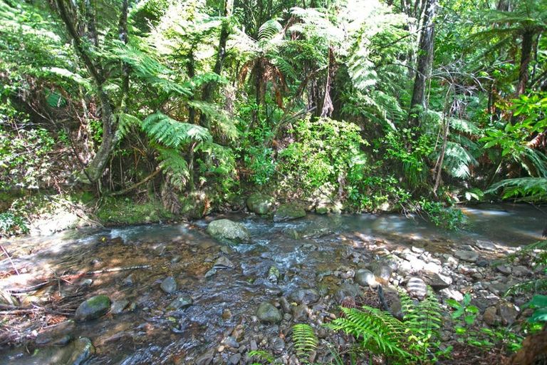 Photo of property in 738 The 309 Road, Waiau, Coromandel, 3581
