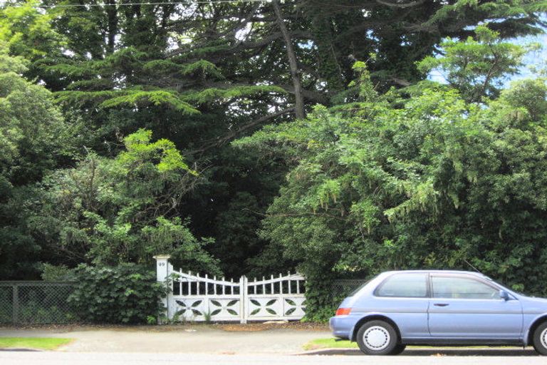 Photo of property in 99 Opawa Road, Opawa, Christchurch, 8023