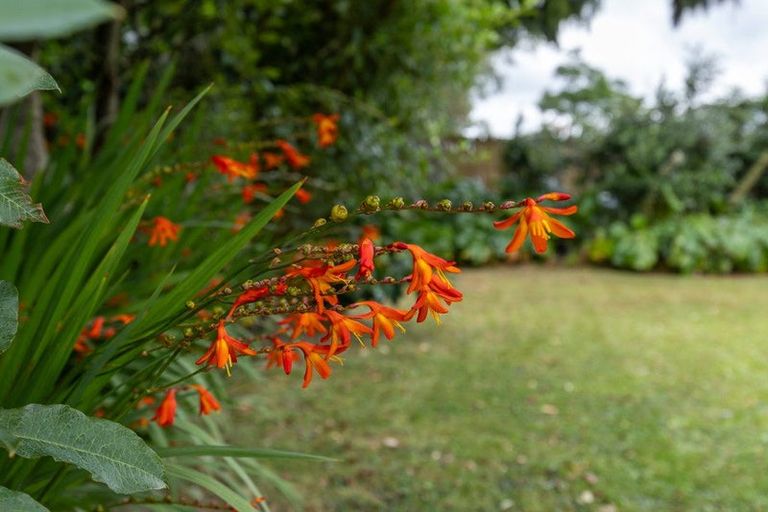 Photo of property in 21 Stanley Avenue, Te Aroha, 3320