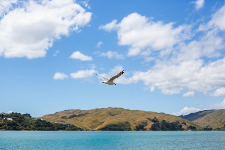 Photo of property in 14a Trevor Terrace, Paremata, Porirua, 5024