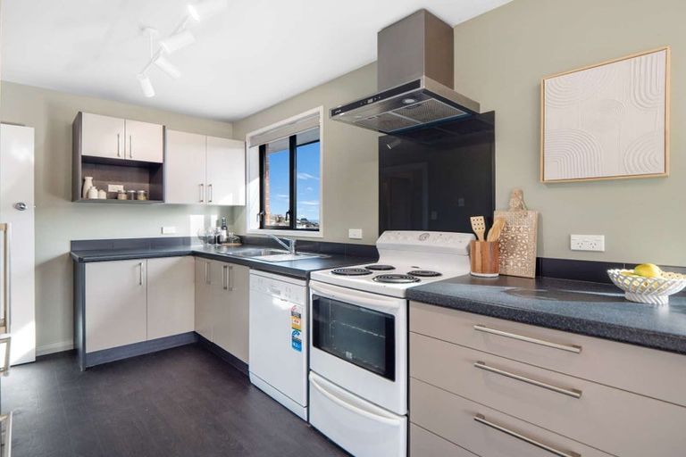 Photo of property in 19 Heath Street, Andersons Bay, Dunedin, 9013