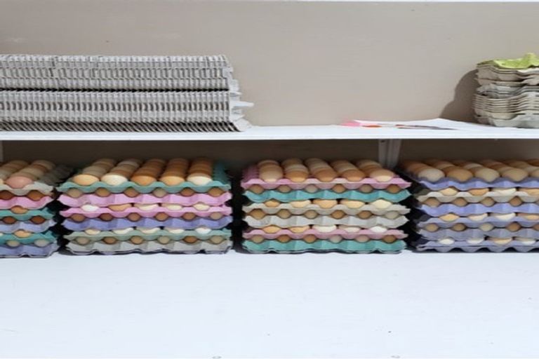 Photo of property in 275 Riwaka Valley Road, Riwaka, Motueka, 7198