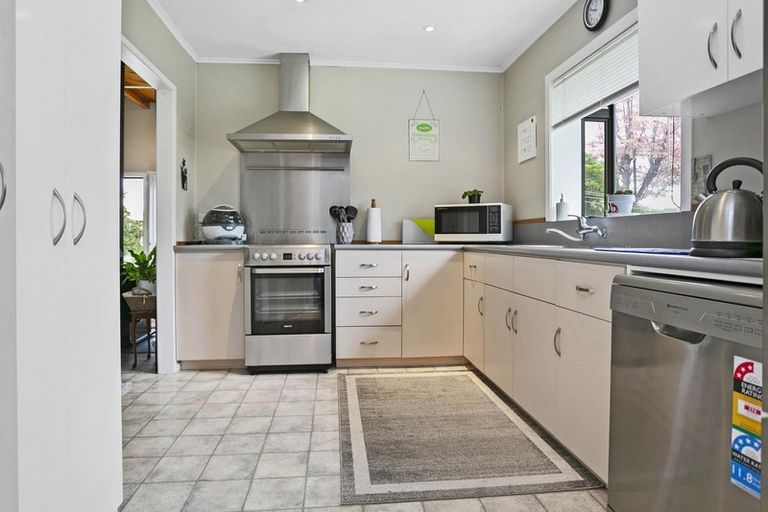 Photo of property in 13 Thornton Street, Putaruru, 3411