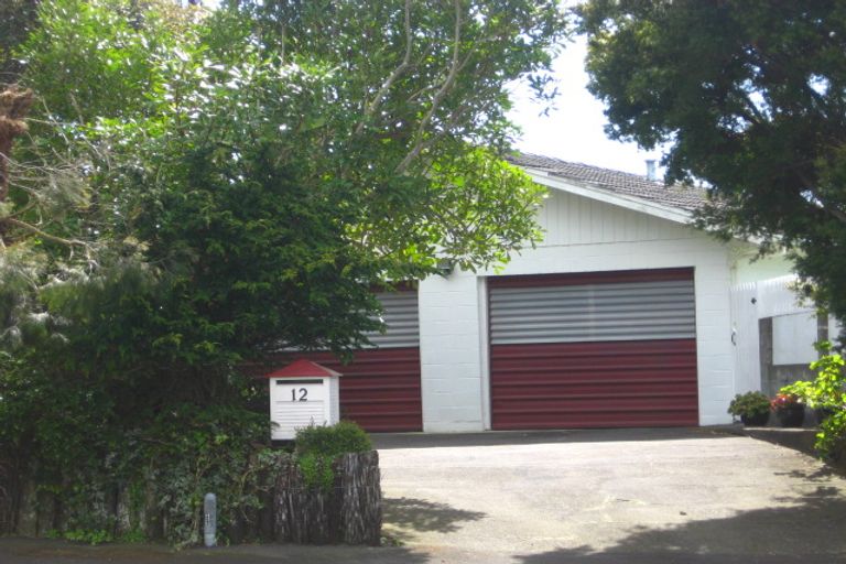 Photo of property in 12 Barrett Street, Westown, New Plymouth, 4310