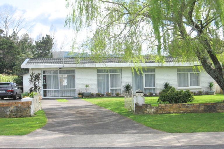 Photo of property in 58 Robinson Road, Whitianga, 3510