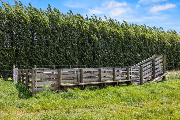 Photo of property in 114 Raddens Road, Ohoka, Kaiapoi, 7692