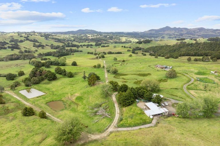 Photo of property in 53 Nursery Lane, Papamoa, 3118