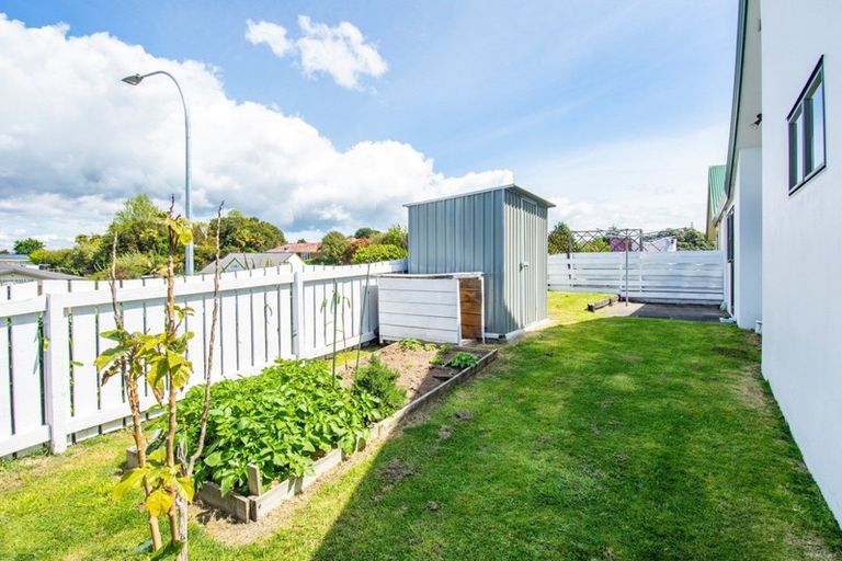 Photo of property in 1b London Place, Judea, Tauranga, 3110