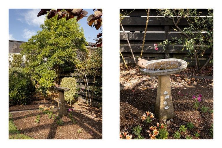 Photo of property in 7 Vista Close, Omokoroa, 3114