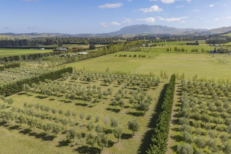 Photo of property in 206 Mount Brown Road, Glasnevin, Amberley, 7482