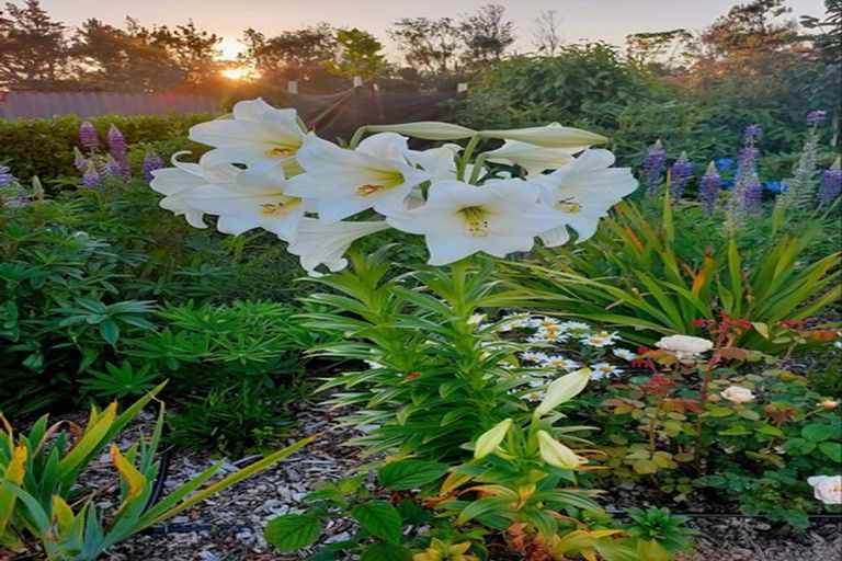 Photo of property in 33a Kenneth Gillies Way, Birchville, Upper Hutt, 5372