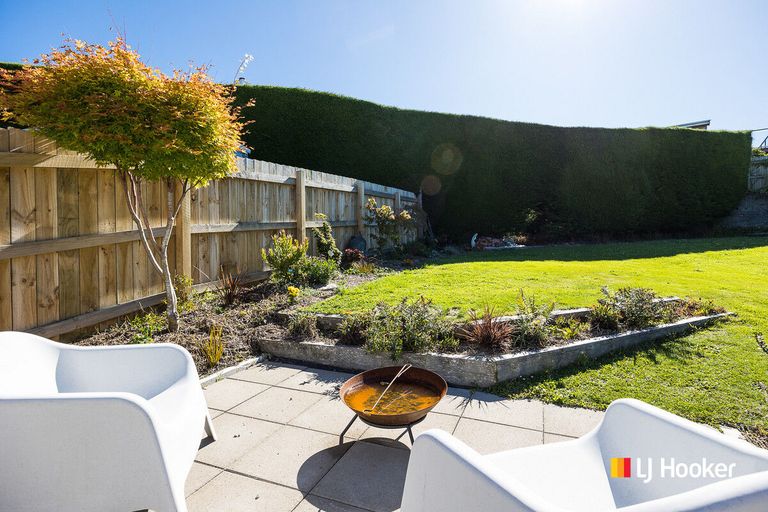 Photo of property in 31 Kilgour Street, Roslyn, Dunedin, 9010