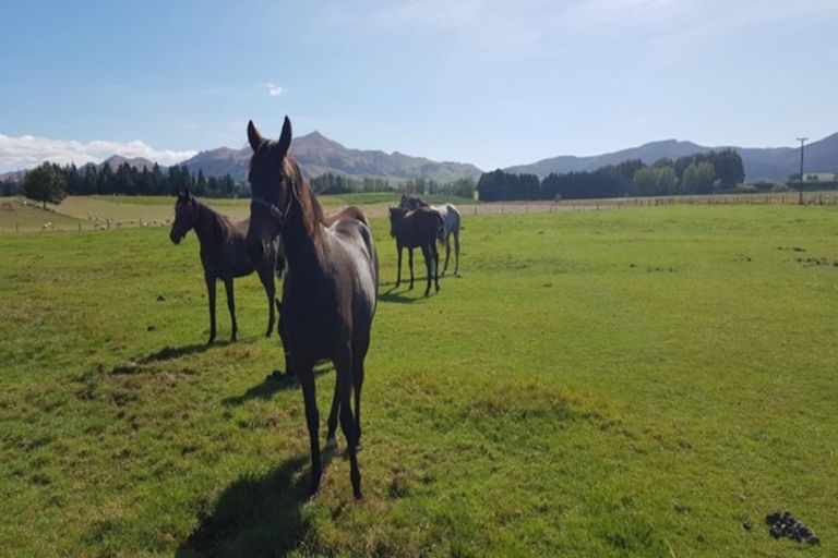 Photo of property in 203 Kelvin Road, Waimumu, Gore, 9774