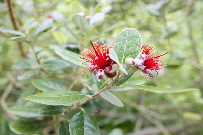 Photo of property in 52 Gladstone Road, Woodend, 7610