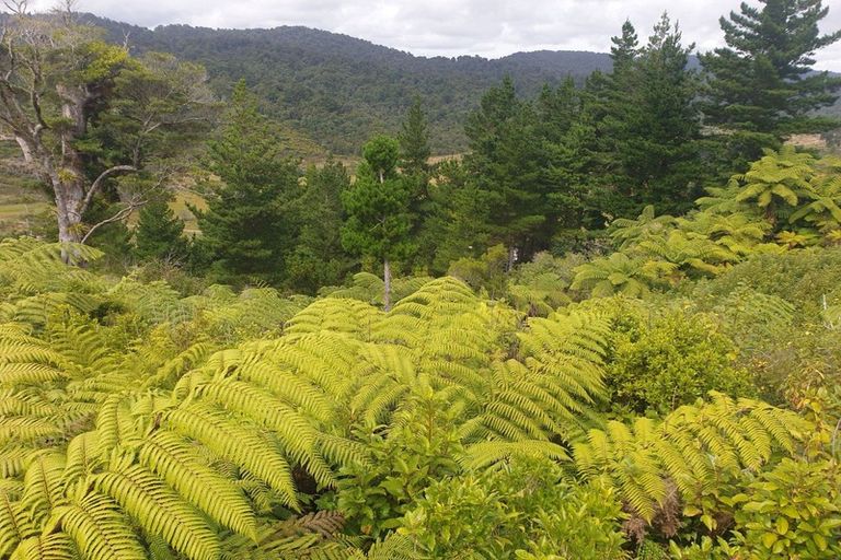 Photo of property in 308 Marsden Road, Greymouth, 7805