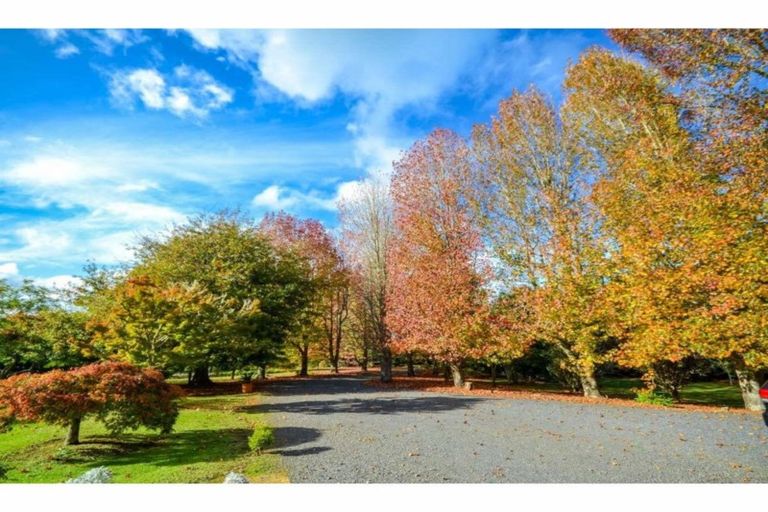 Photo of property in 106 Kapiro Road, Kerikeri, 0294