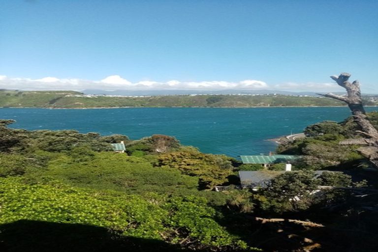 Photo of property in 155a Grafton Road, Roseneath, Wellington, 6011