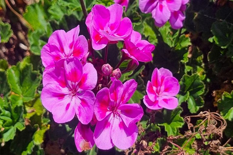 Photo of property in 92 Packard Road, Motupipi, Takaka, 7183