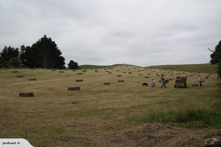 Photo of property in 1828 Tarata Road, Tarata, Inglewood, 4387