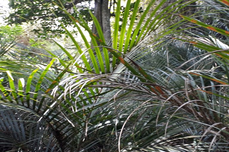 Photo of property in 296 Devich Road, Mangawhai, Kaiwaka, 0573