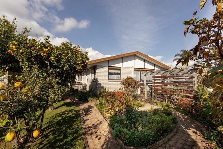 Photo of property in 10a Tutauanui Crescent, Maungatapu, Tauranga, 3112