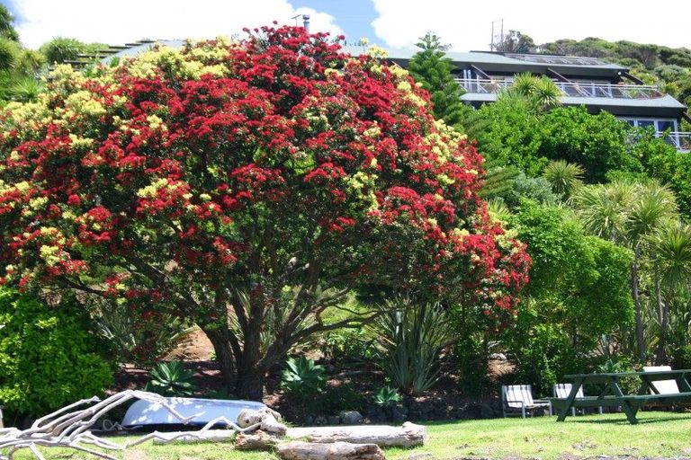 Photo of property in 42 Mahinepua Road, Kaeo, 0478