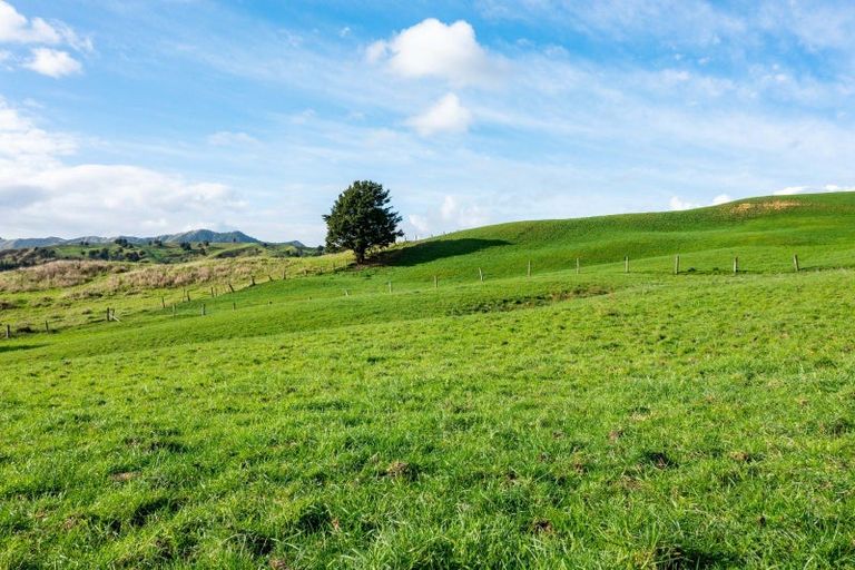 Photo of property in 184 Tangowahine Valley Road, Tangowahine, 0372