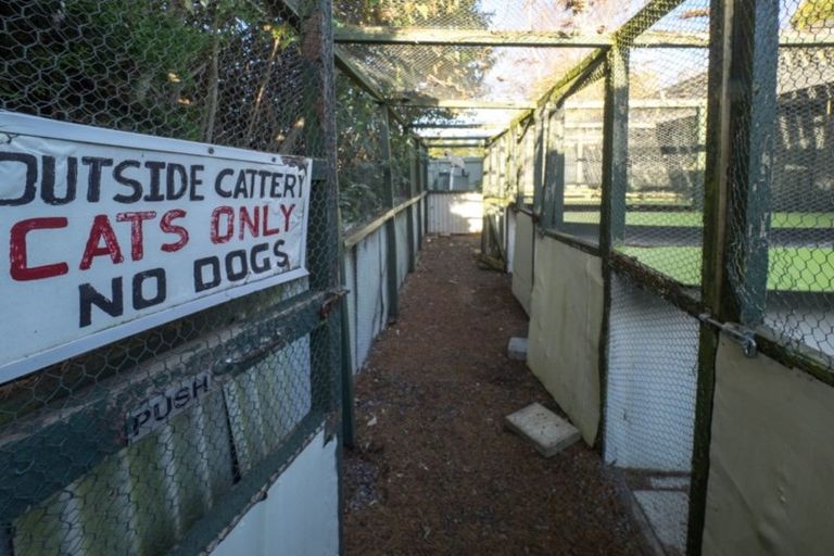 Photo of property in 1241 Rakaia Highway, Chertsey, Ashburton, 7772