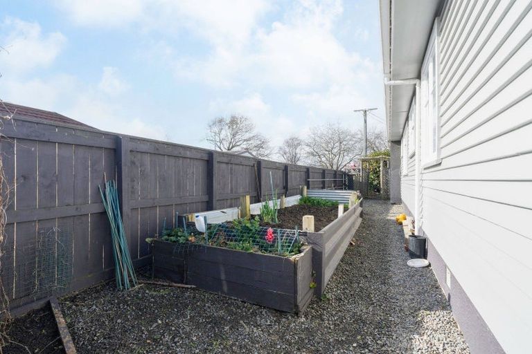 Photo of property in 55 Tiro Tiro Road, Levin, 5510