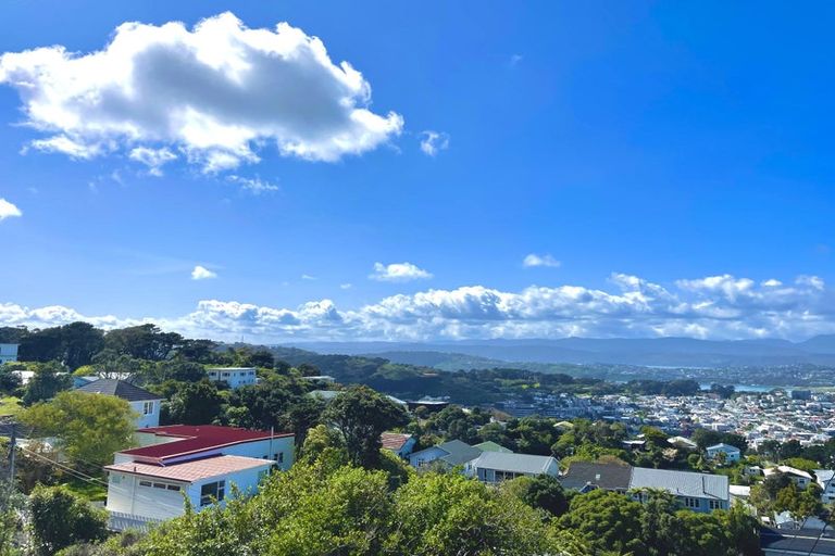 Photo of property in 33 Whaui Street, Vogeltown, Wellington, 6021