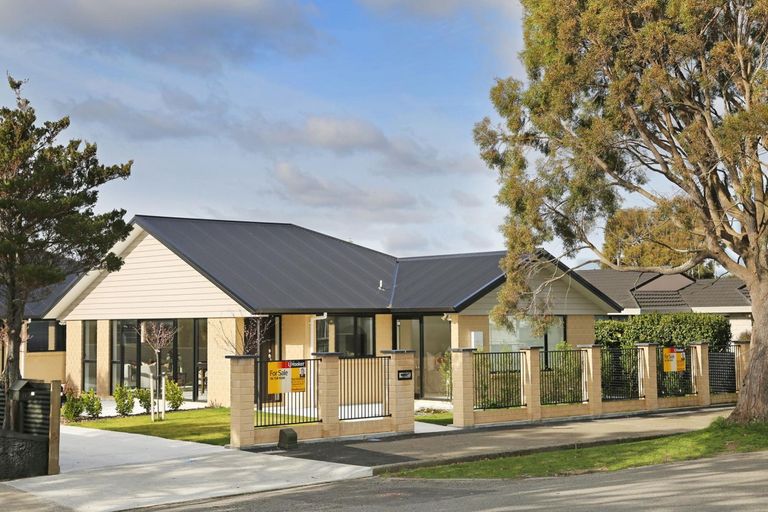 Photo of property in 15a Thomson Street, West End, Palmerston North, 4412