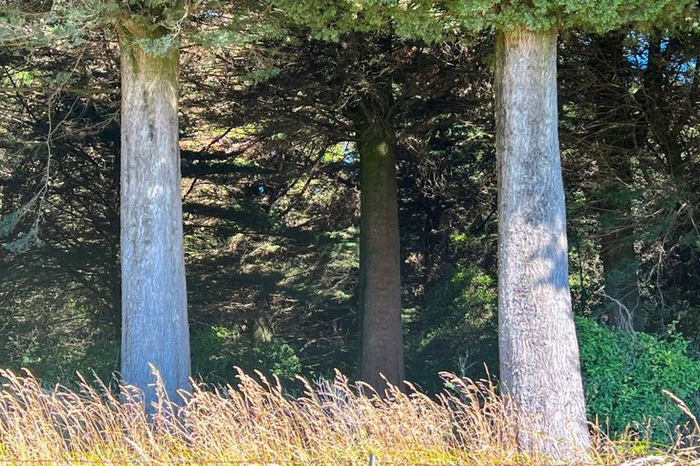 Photo of property in 80 Bay View Road, Woodend, Invercargill, 9877